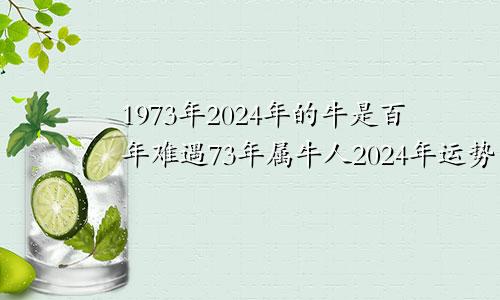 1973年2024年的牛是百年难遇73年属牛人2024年运势