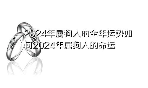 2024年属狗人的全年运势如何2024年属狗人的命运