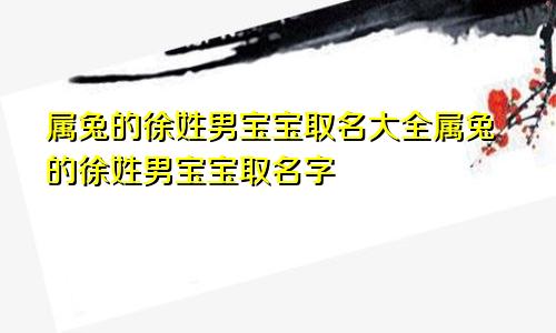 属兔的徐姓男宝宝取名大全属兔的徐姓男宝宝取名字