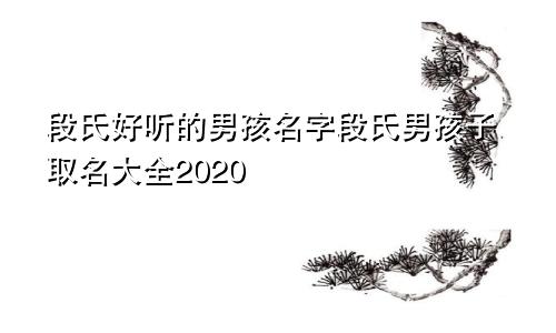 段氏好听的男孩名字段氏男孩子取名大全2020