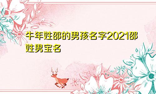 牛年姓邵的男孩名字2021邵姓男宝名