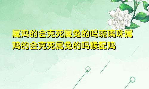 属鸡的会克死属兔的吗琉璃珠属鸡的会克死属兔的吗猴配鸡