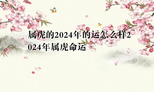 属虎的2024年的运怎么样2024年属虎命运