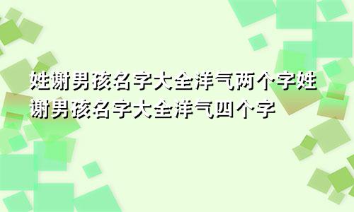 姓谢男孩名字大全洋气两个字姓谢男孩名字大全洋气四个字