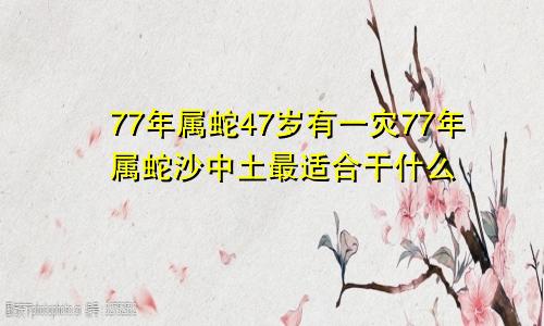 77年属蛇47岁有一灾77年属蛇沙中土最适合干什么