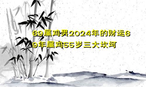 69属鸡男2024年的财运69年属鸡55岁三大坎坷