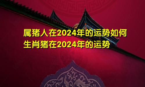 属猪人在2024年的运势如何生肖猪在2024年的运势