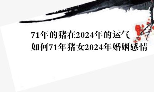 71年的猪在2024年的运气如何71年猪女2024年婚姻感情