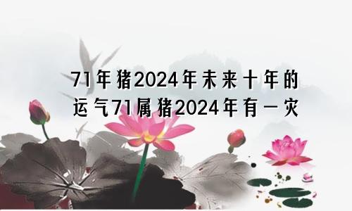 71年猪2024年未来十年的运气71属猪2024年有一灾