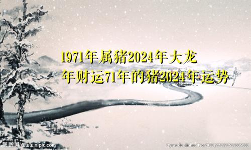 1971年属猪2024年大龙年财运71年的猪2024年运势