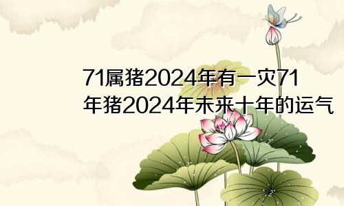 71属猪2024年有一灾71年猪2024年未来十年的运气