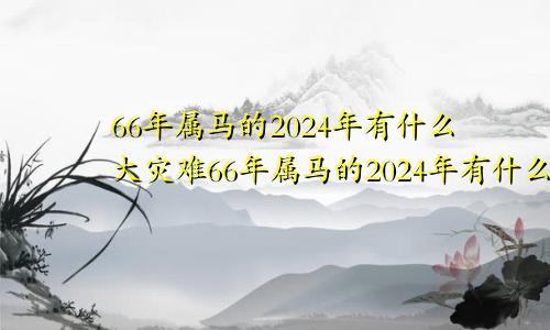 66年属马的2024年有什么大灾难66年属马的2024年有什么大灾难发生