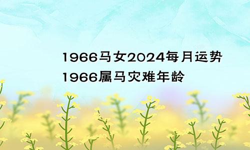 1966马女2024每月运势1966属马灾难年龄