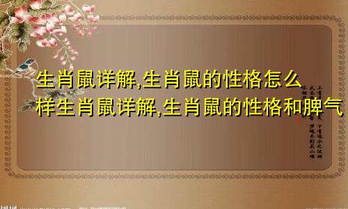 生肖鼠详解,生肖鼠的性格怎么样生肖鼠详解,生肖鼠的性格和脾气