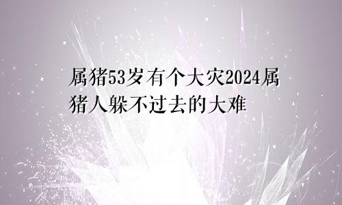 属猪53岁有个大灾2024属猪人躲不过去的大难