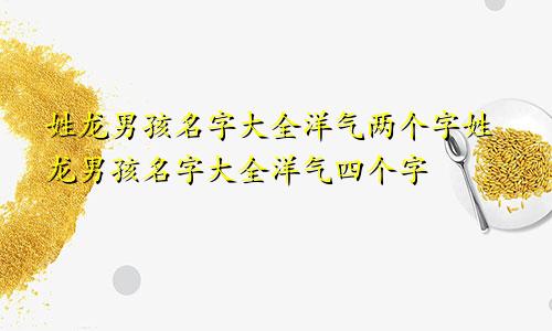 姓龙男孩名字大全洋气两个字姓龙男孩名字大全洋气四个字