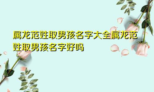 属龙范姓取男孩名字大全属龙范姓取男孩名字好吗