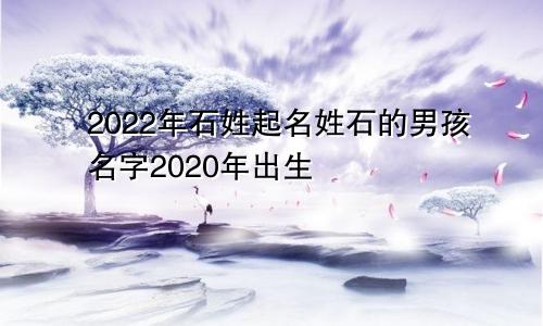 2022年石姓起名姓石的男孩名字2020年出生