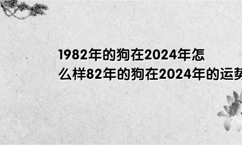 1982年的狗在2024年怎么样82年的狗在2024年的运势怎么样