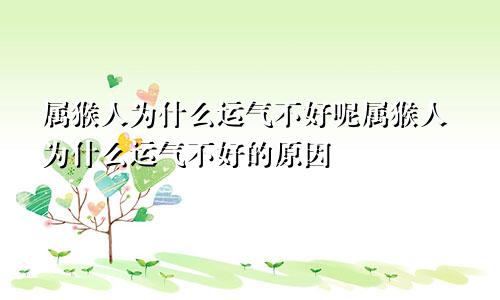 属猴人为什么运气不好呢属猴人为什么运气不好的原因