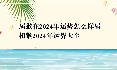 属猴在2024年运势怎么样属相猴2024年运势大全