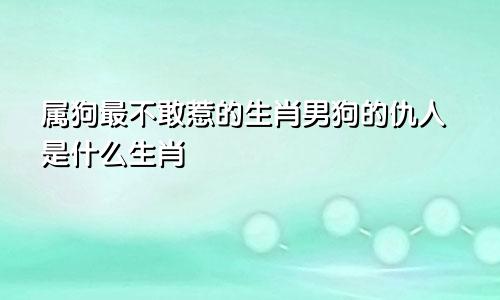 属狗最不敢惹的生肖男狗的仇人是什么生肖