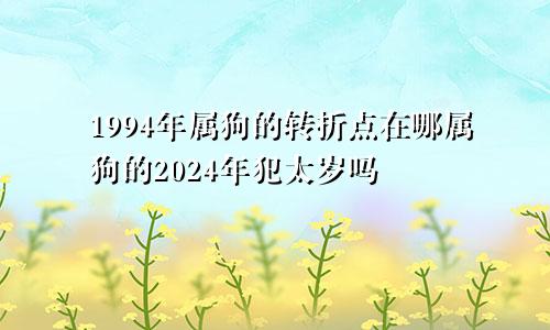 1994年属狗的转折点在哪属狗的2024年犯太岁吗