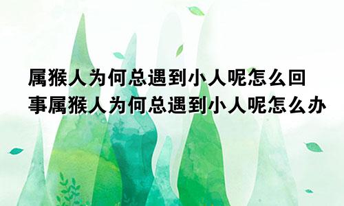 属猴人为何总遇到小人呢怎么回事属猴人为何总遇到小人呢怎么办