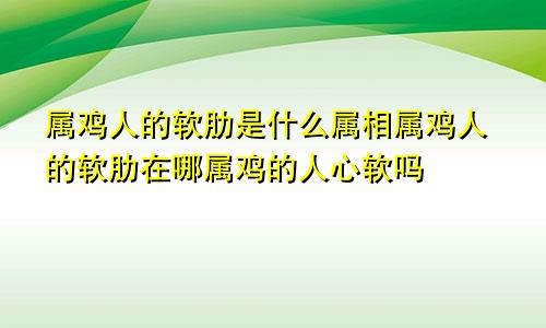 属鸡人的软肋是什么属相属鸡人的软肋在哪属鸡的人心软吗