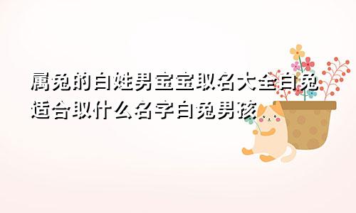 属兔的白姓男宝宝取名大全白兔适合取什么名字白兔男孩