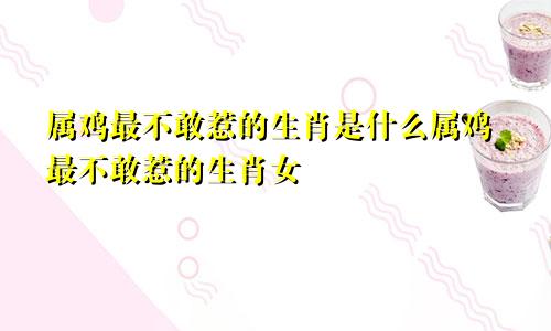 属鸡最不敢惹的生肖是什么属鸡最不敢惹的生肖女