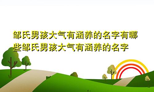 邹氏男孩大气有涵养的名字有哪些邹氏男孩大气有涵养的名字